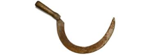 Nachtwanderung